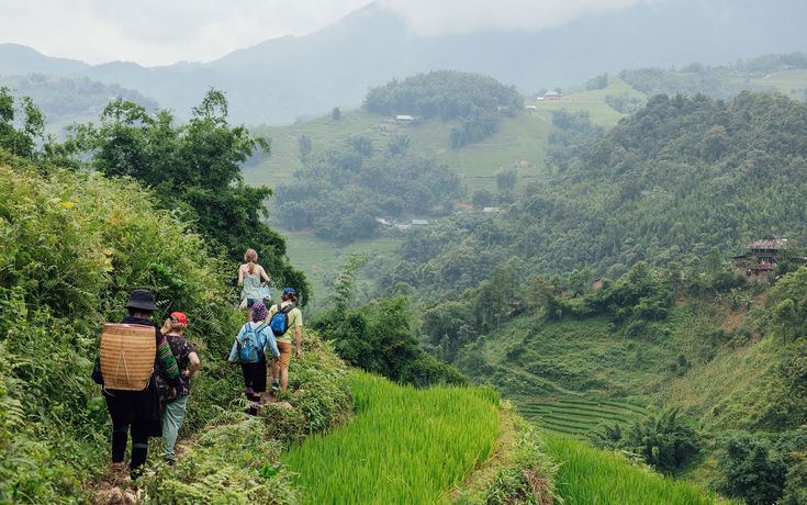 Trek Through Sapa’s Iconic Terraced Rice Fields in Sapa